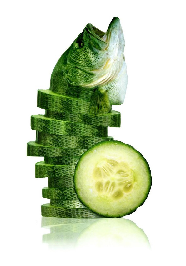 08-sea-cucumber
