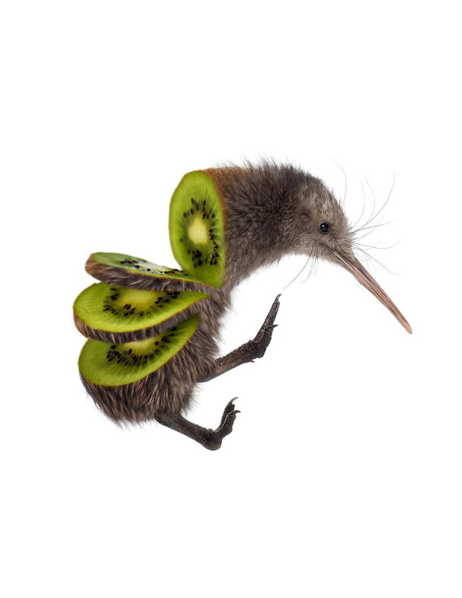 11-kiwi